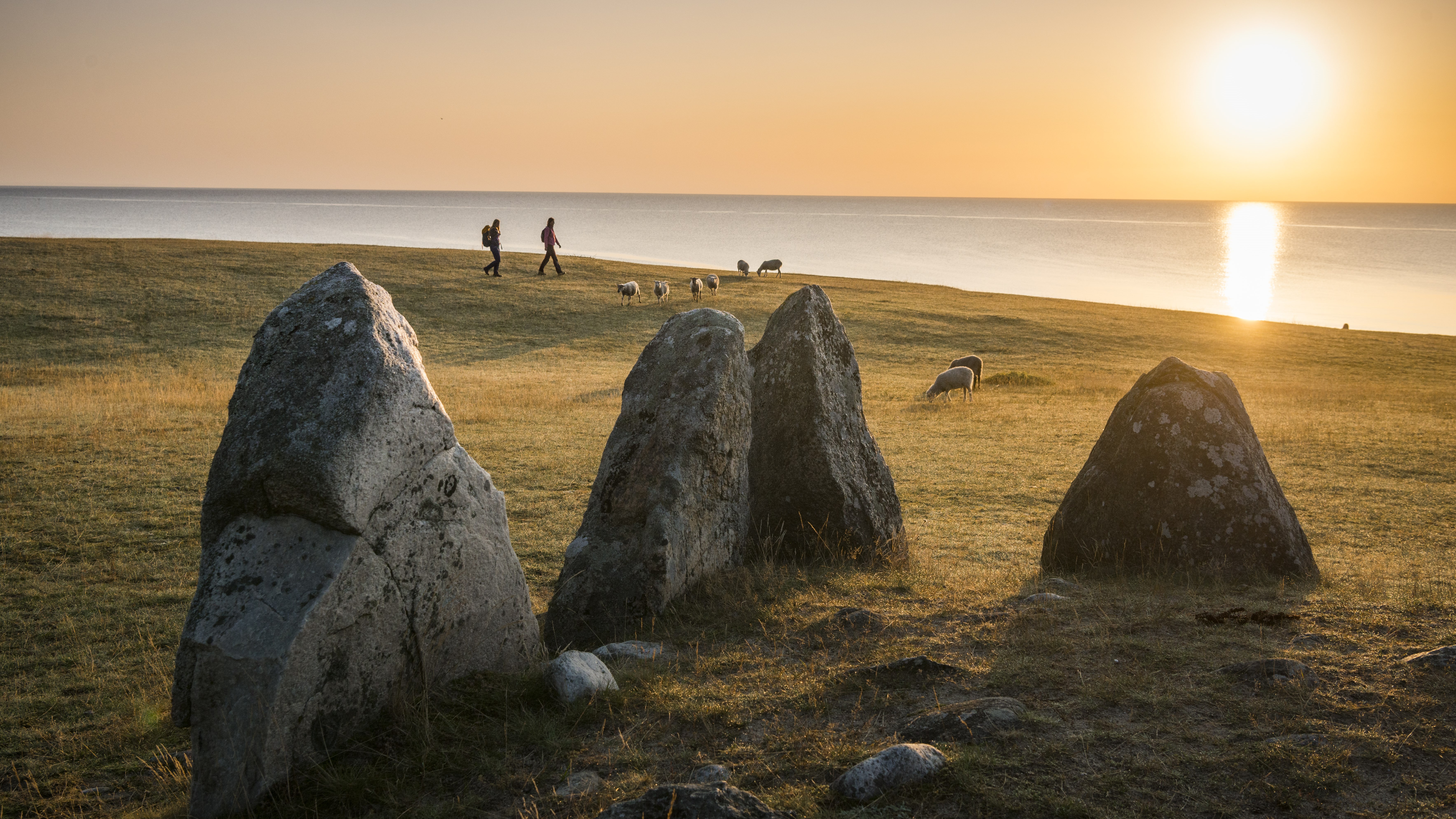 Ales Stenar & Wallander